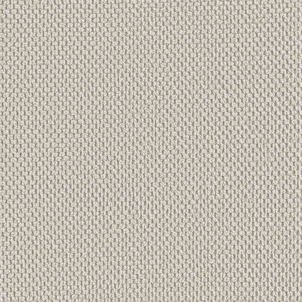 Alsen – Fauteuil van fluweel en hout